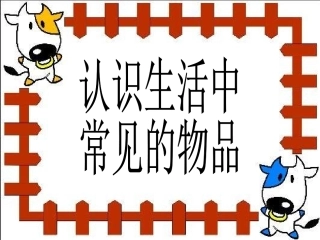 认识生活中常见的物品