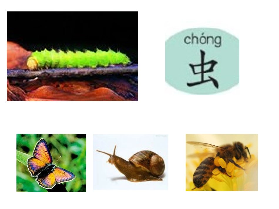 认一认2 (3)_第3页