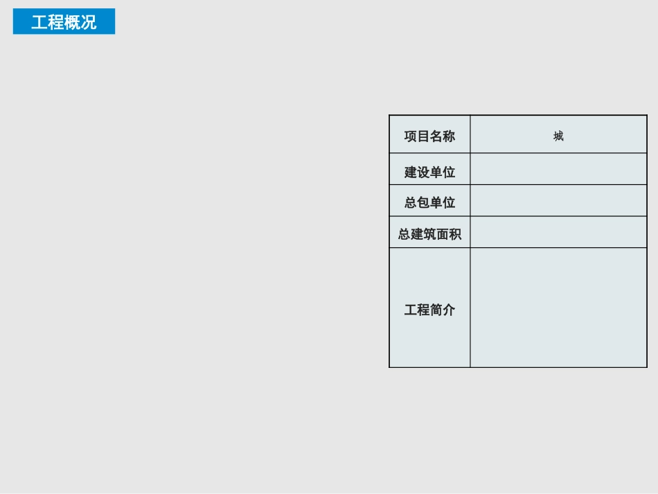 真石漆施工工艺方案_第2页
