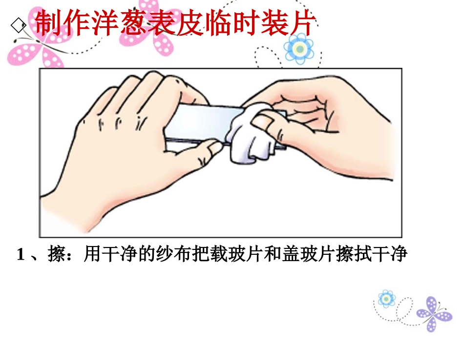 临时玻片标本的制作_第2页