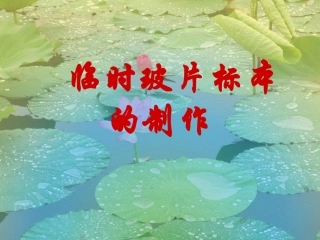 临时玻片标本的制作