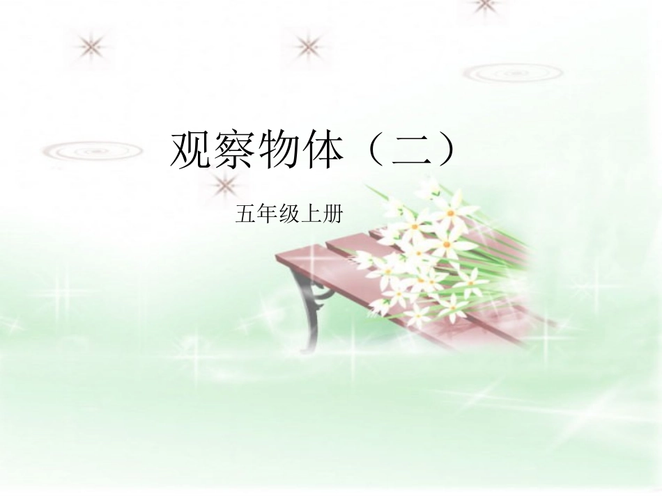 观察物体2(1)_第1页