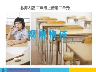 观察物体课件