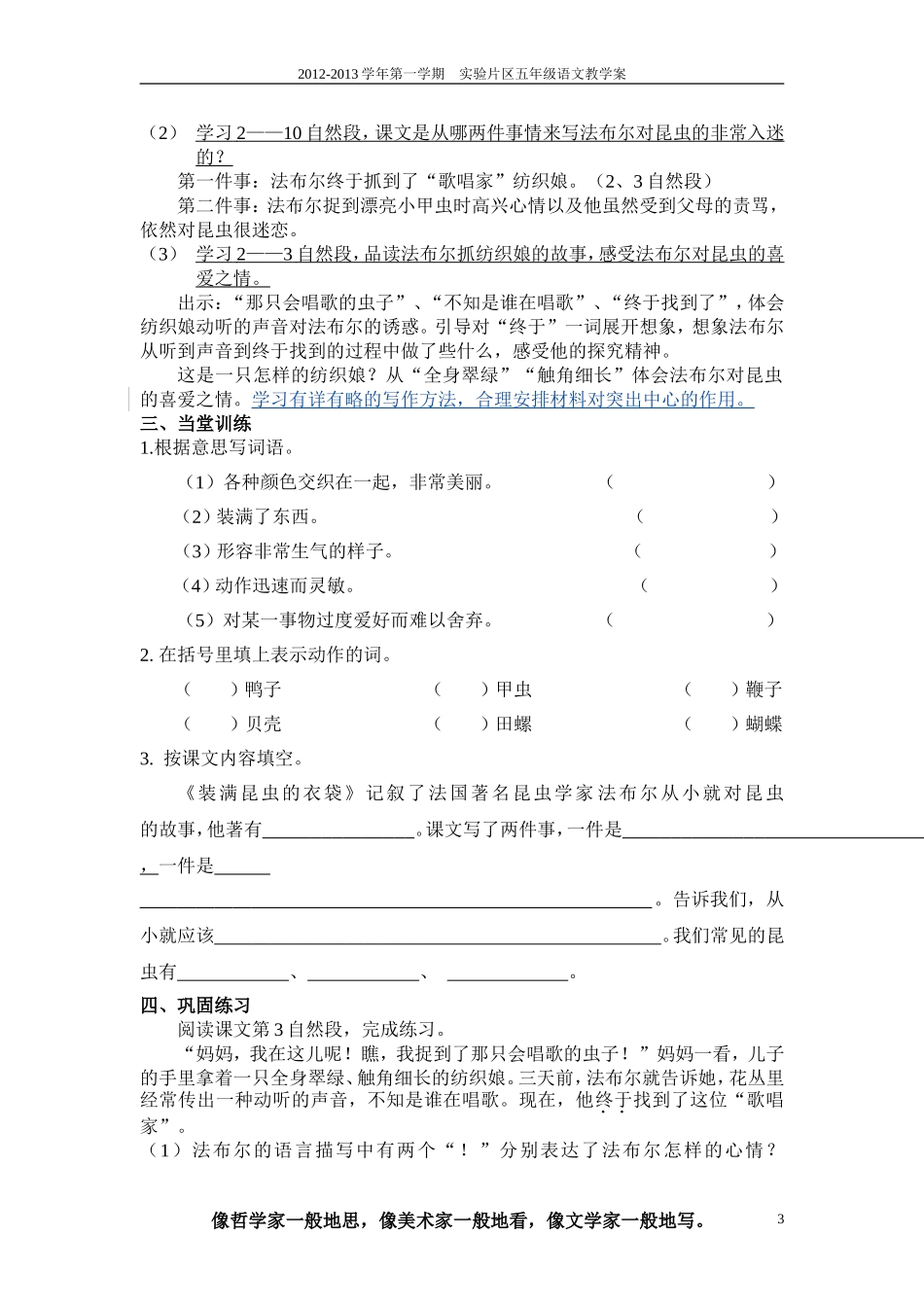 装满昆虫的衣袋教案_第3页