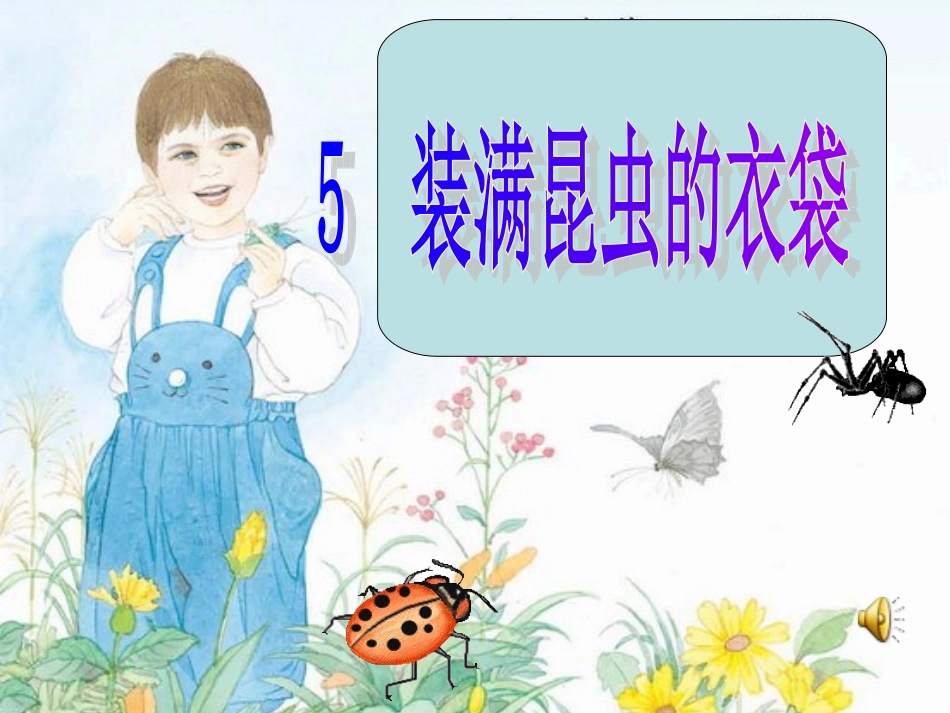 装满昆虫的衣袋课件[1]_第1页