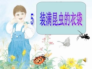 装满昆虫的衣袋课件[1]