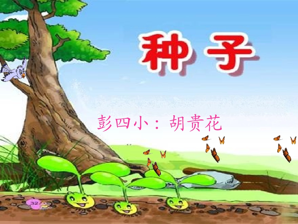 西师版一年级下册《种子》课件_第1页