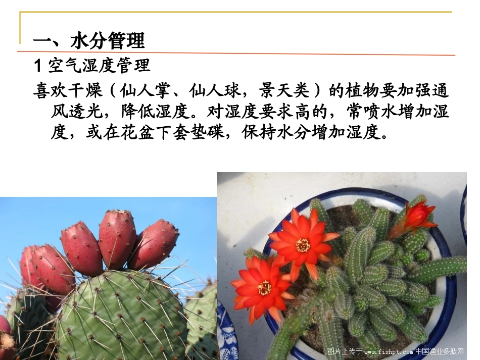 物业环境绿化日常管理_第3页