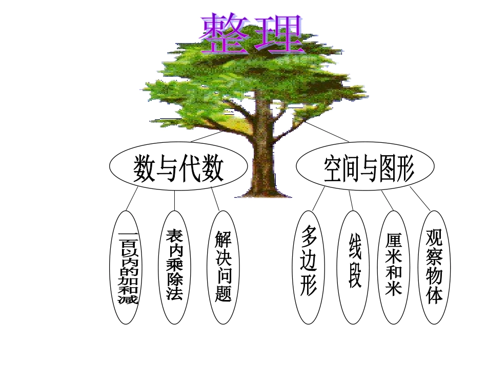 表内复习乘、除法_第3页