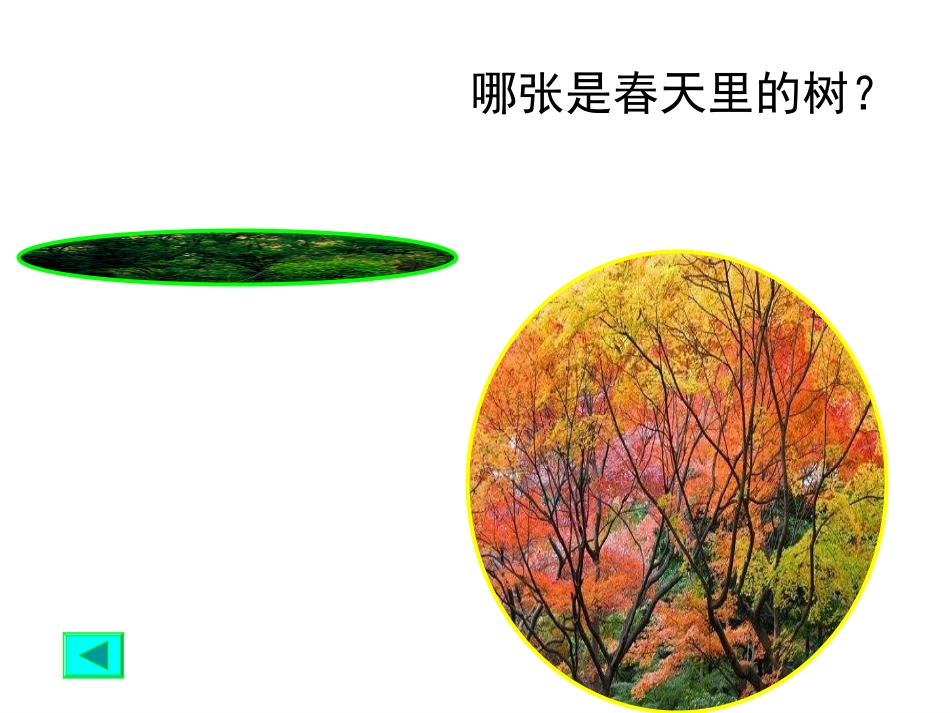 教科版科学三上《植物发生了什么变化》PPT课件9_第2页