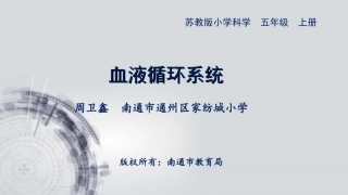 血液循环系统A