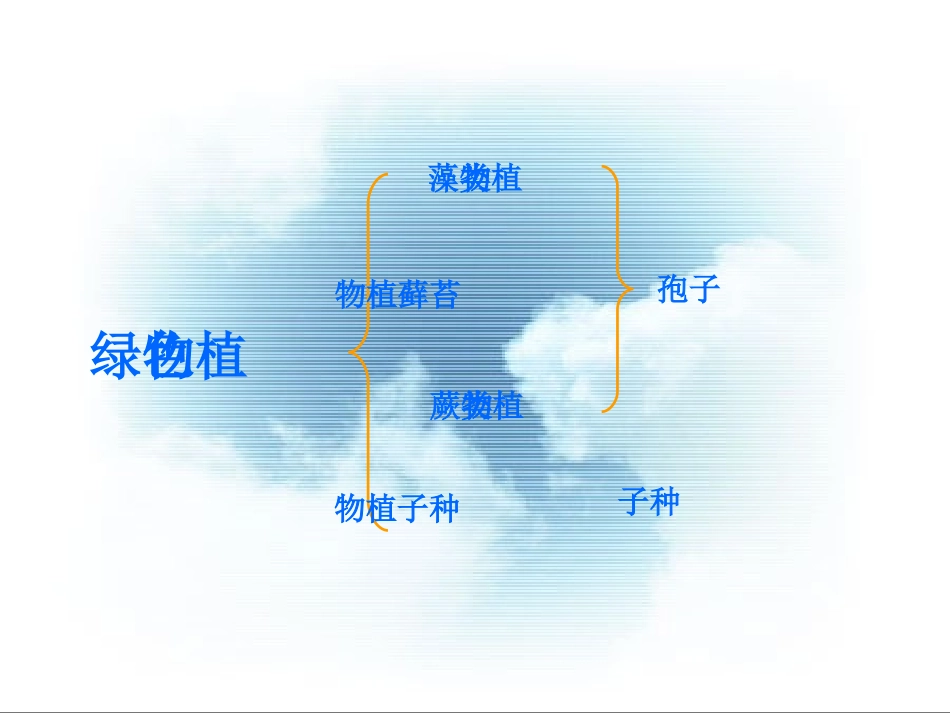 藻类苔藓和蕨类植物_第3页