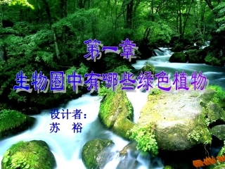 藻类苔藓和蕨类植物
