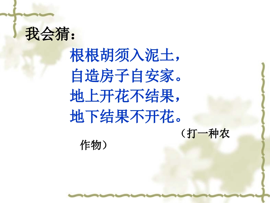 落花生课件课件_第1页