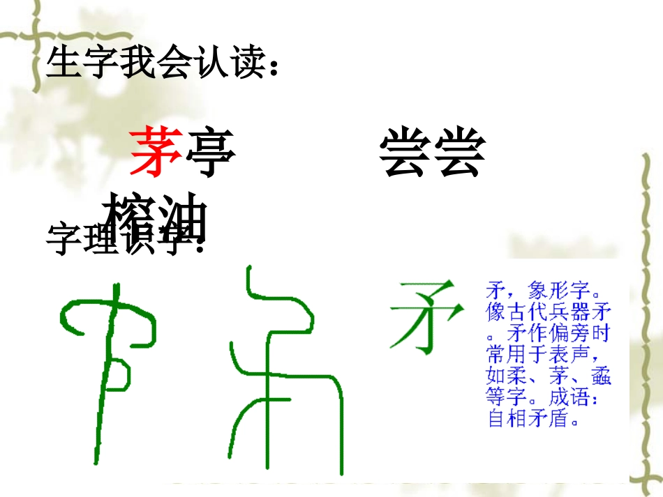 落花生课件课件_第3页