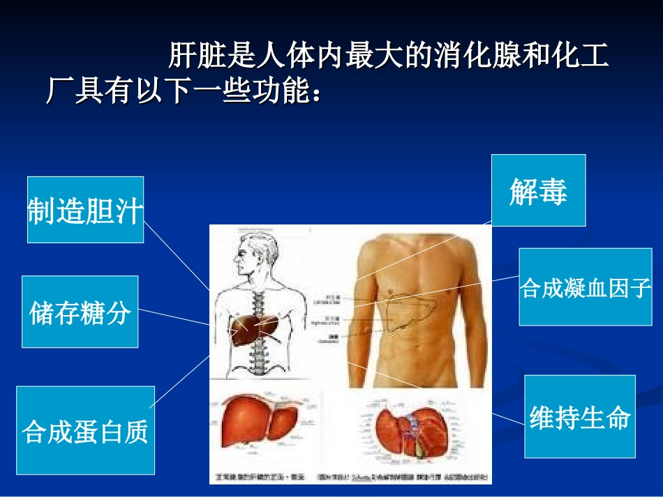 诊断学 肝脏实验室检查_第2页