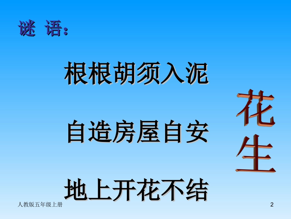 落花生PPT (2)_第2页