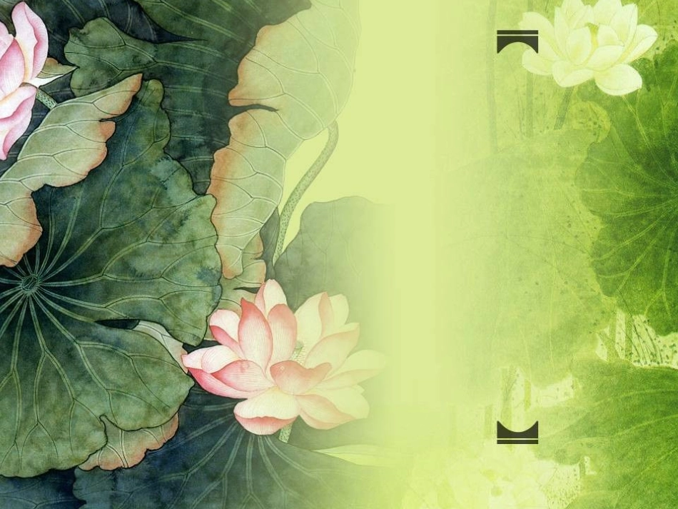 荷花主题模板_第1页