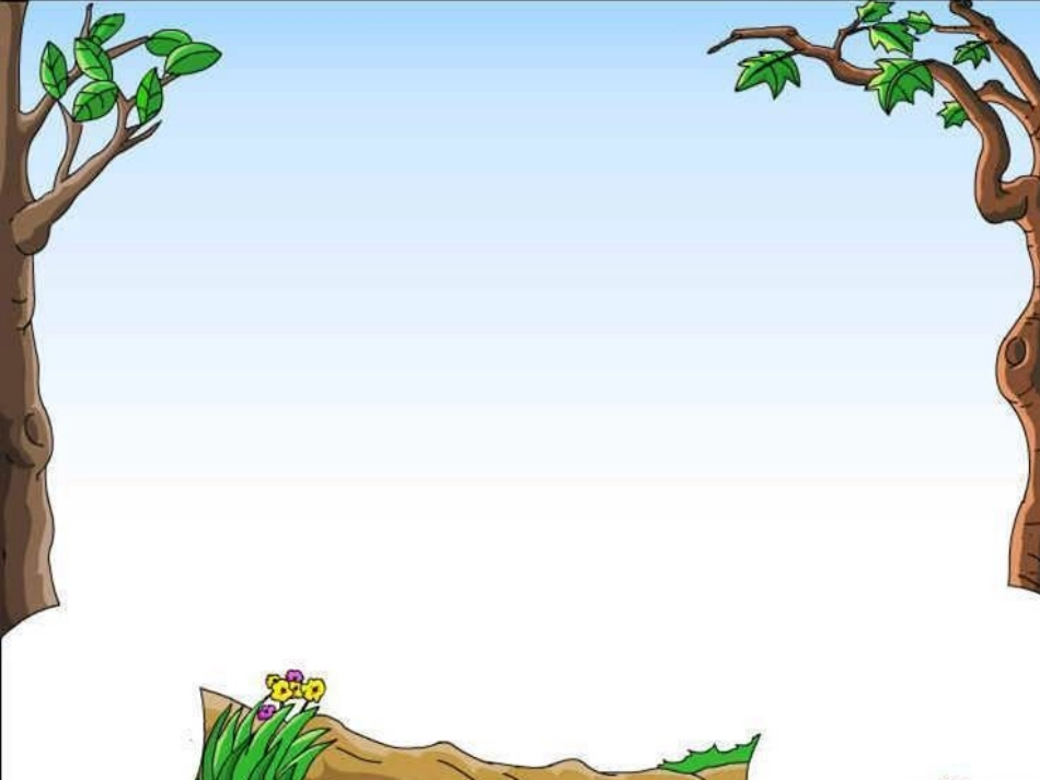 荷叶圆圆课件1_第1页