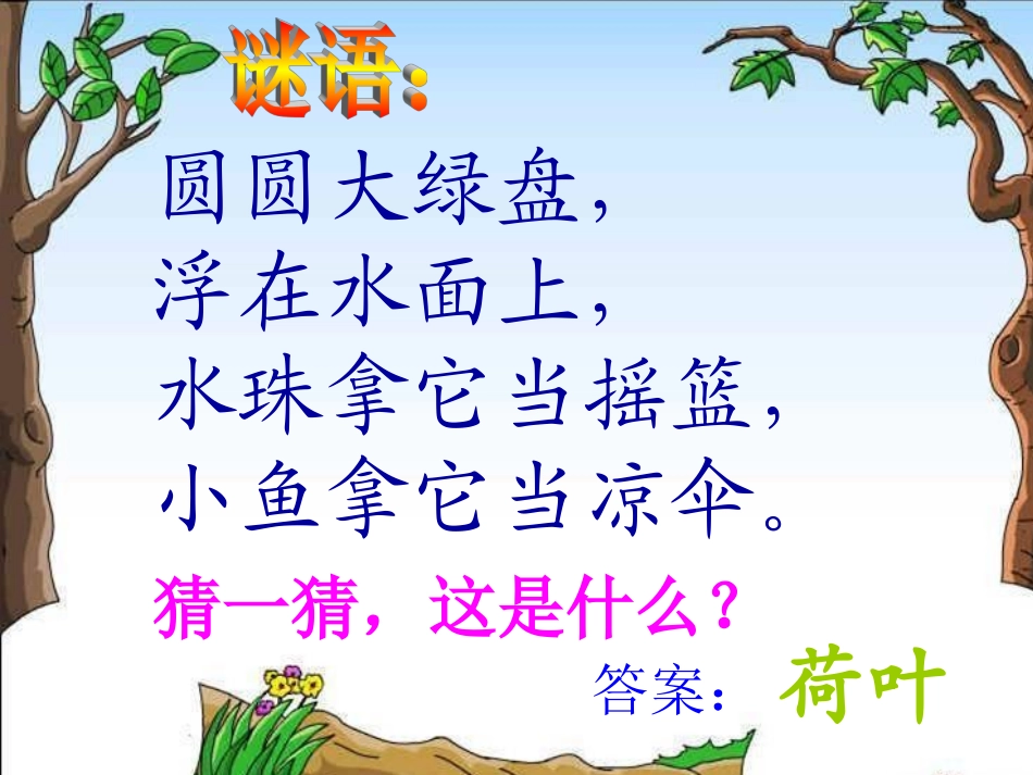 荷叶圆圆课件1_第2页