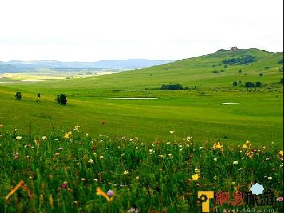 草原课件课件_第2页