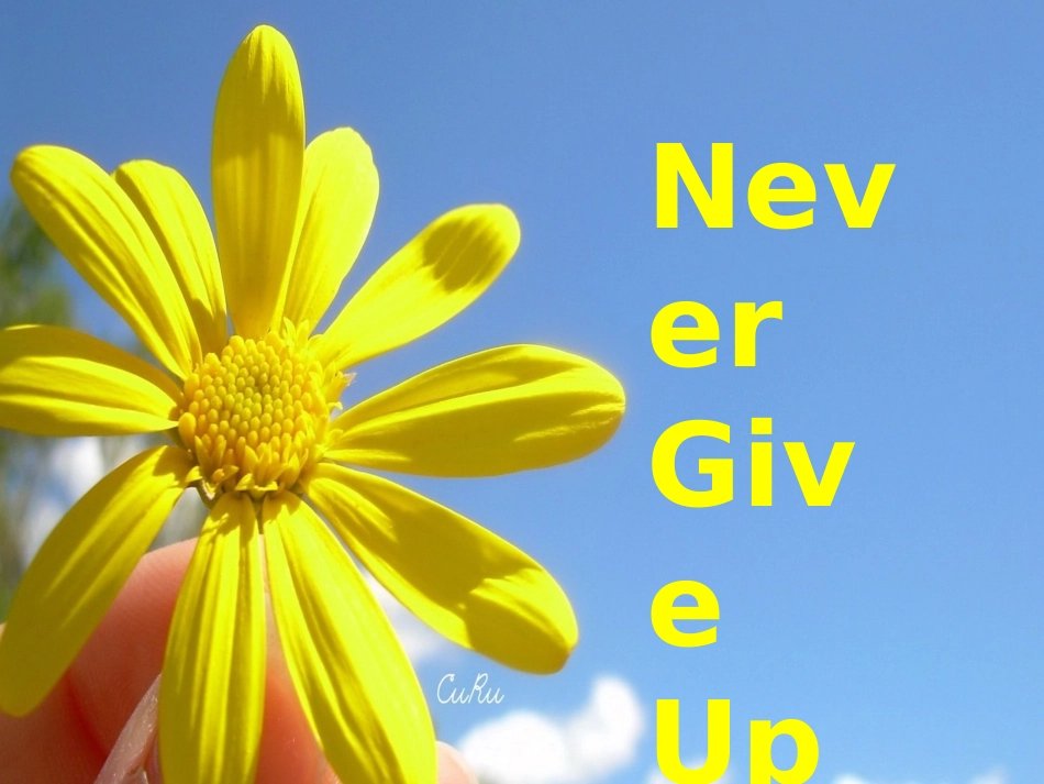 英文诗歌欣赏_第1页