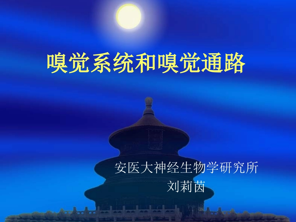 嗅觉系统和嗅觉通路_第1页