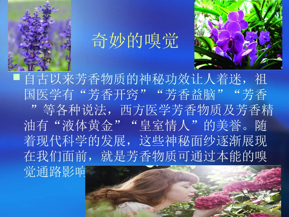 嗅觉系统和嗅觉通路_第2页