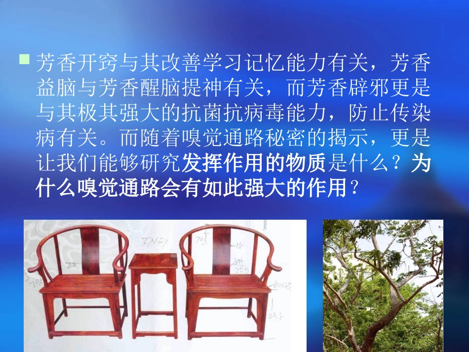 嗅觉系统和嗅觉通路_第3页