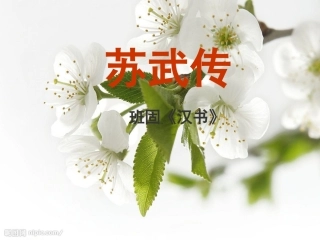 苏武传(用)