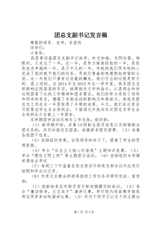 团总支副书记发言稿