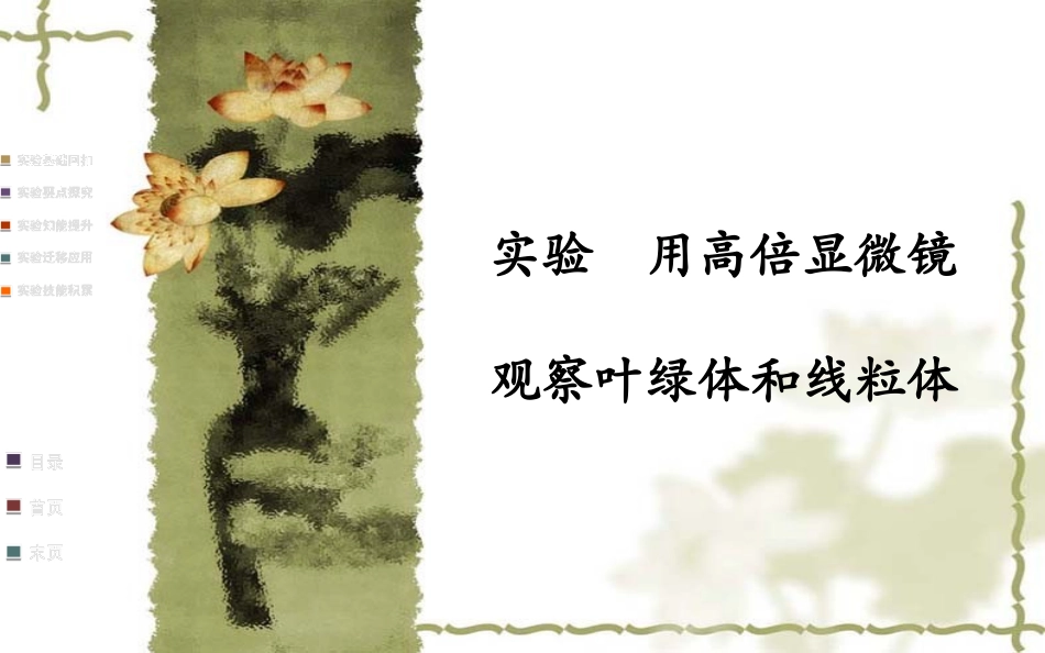 用高倍显微镜观察叶绿体和线粒体_第1页