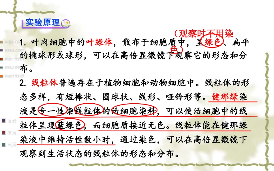用高倍显微镜观察叶绿体和线粒体_第2页