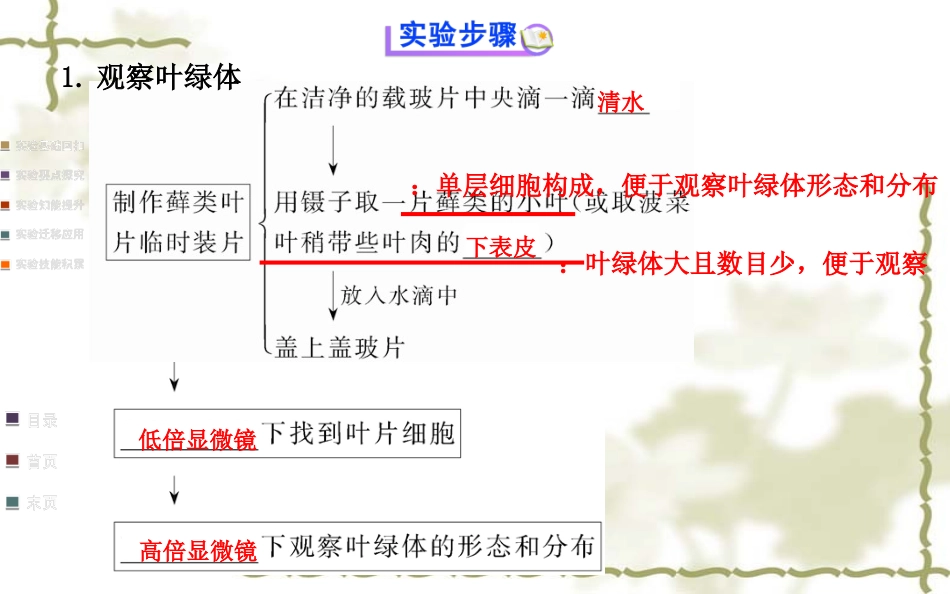 用高倍显微镜观察叶绿体和线粒体_第3页