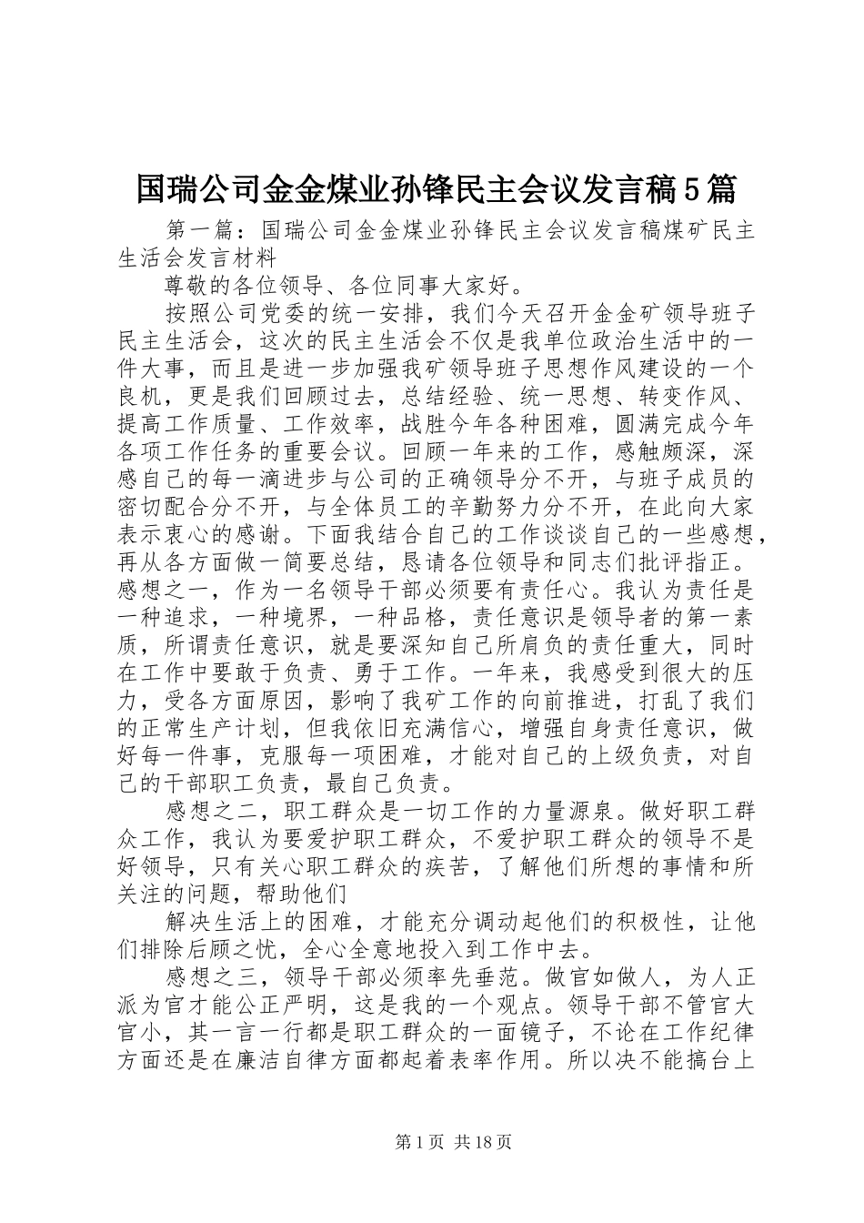 国瑞公司金金煤业孙锋民主会议发言稿5篇_第1页