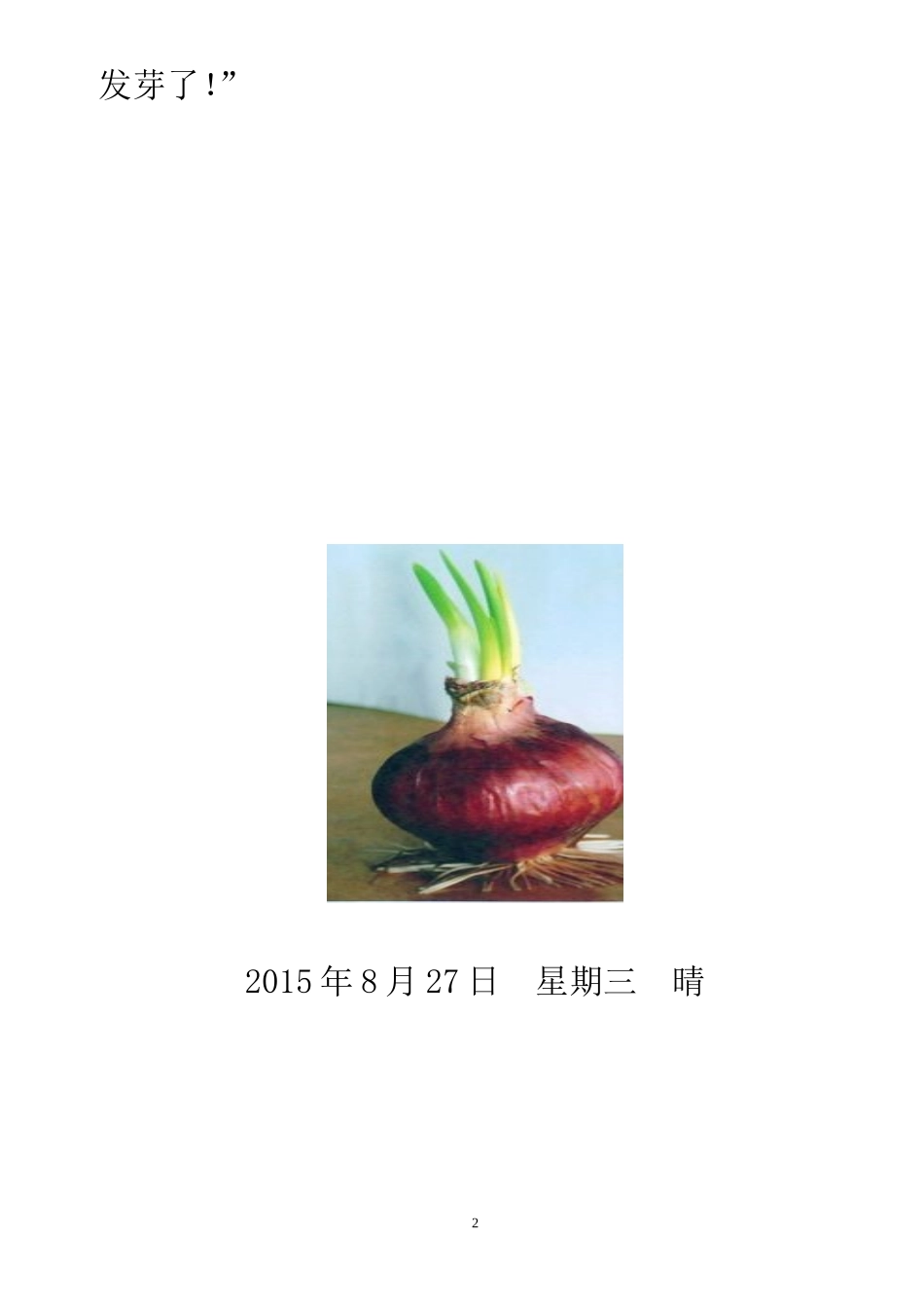 洋葱成长观察日记 (珊瑚实验小学+宗袁立)_第2页