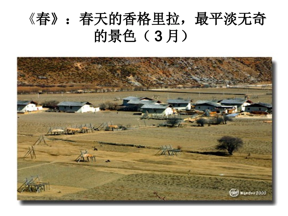 苏教版小学语文三年级下册习作三、练习三、读读背背_第2页