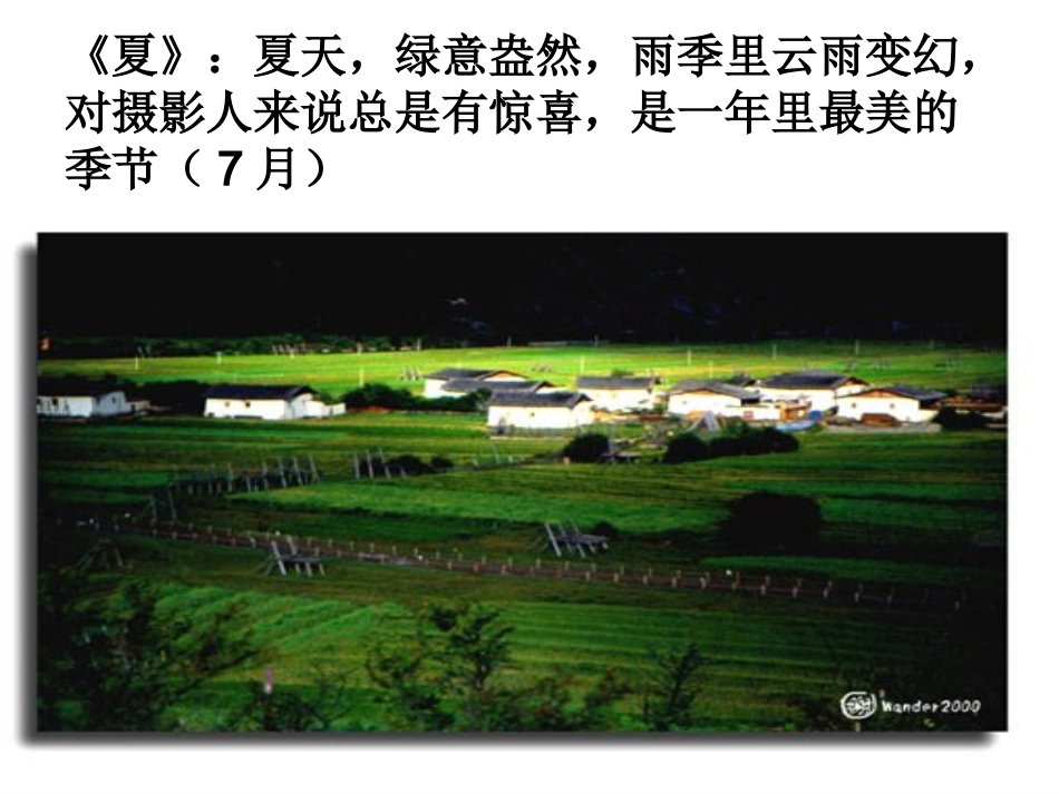 苏教版小学语文三年级下册习作三、练习三、读读背背_第3页