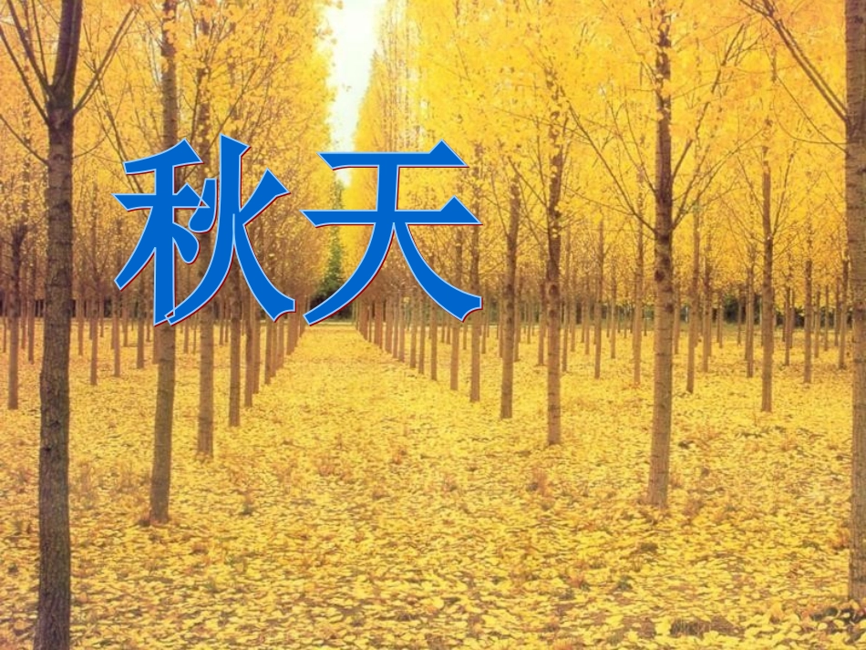 苏教版四上4《秋天》第一课时_第1页