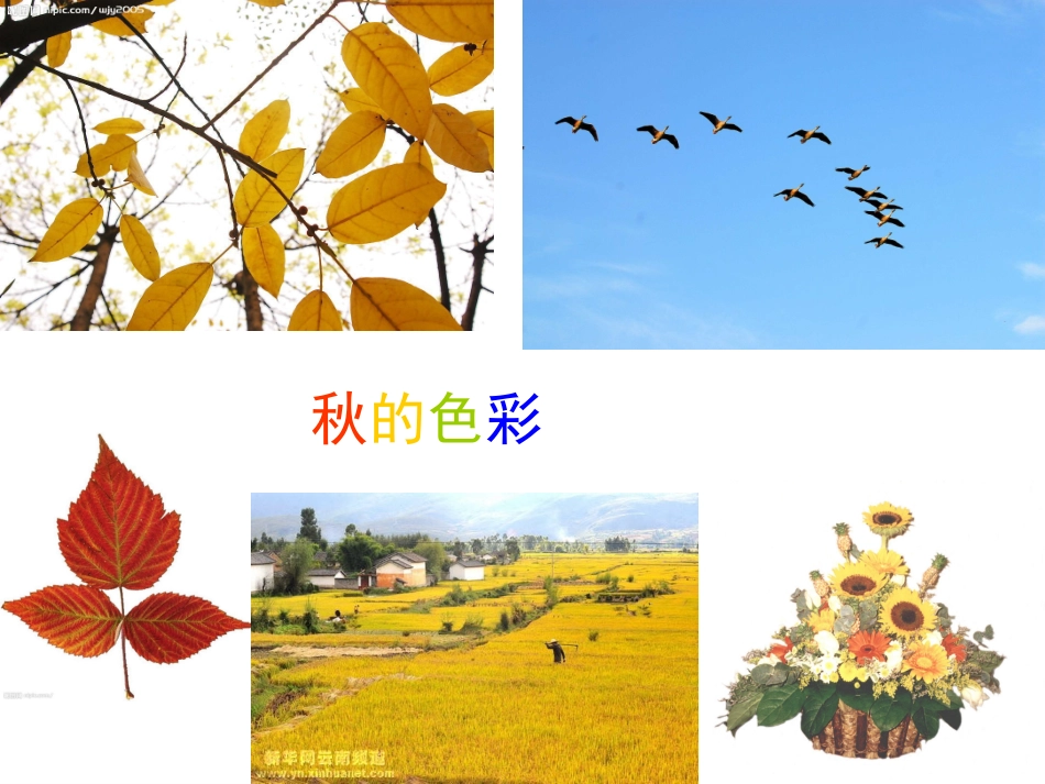 苏教版四上4《秋天》第一课时_第2页