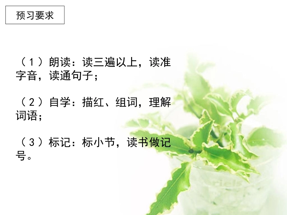 苏教版四上1《老师，您好！》_第2页