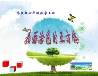 苏教版六上表面涂色的正方体