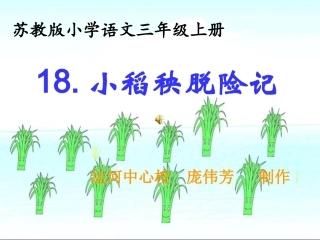 苏教版三年级语文小稻秧脱险记第二课时课件(2)