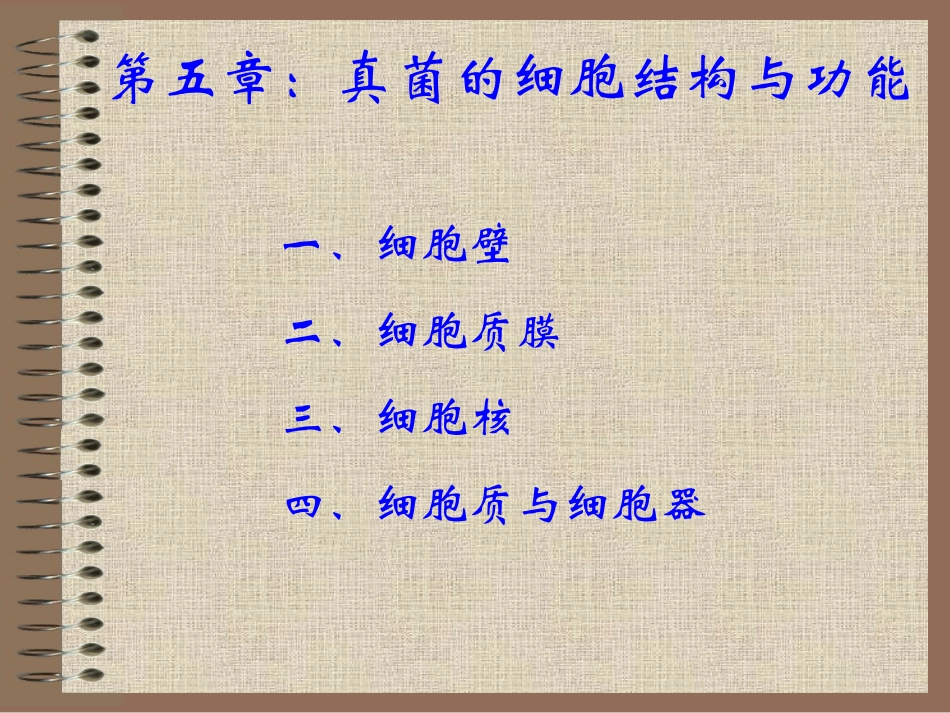 真菌的细胞结构与功能_第1页