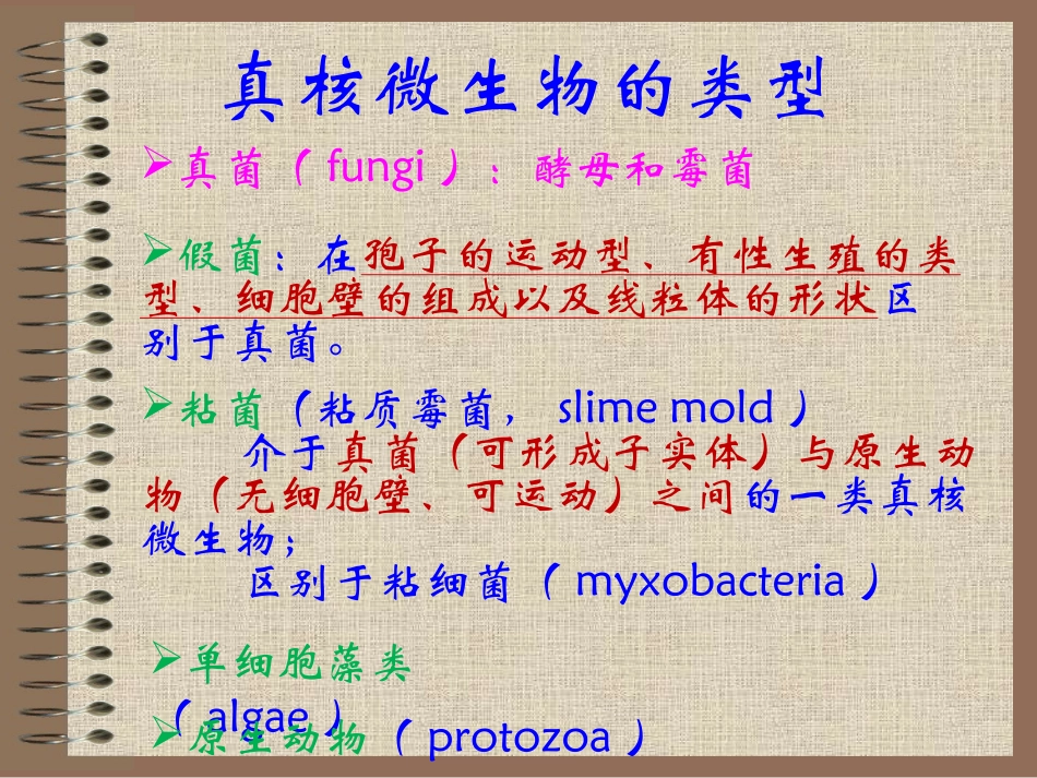 真菌的细胞结构与功能_第2页