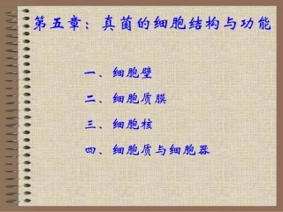 真菌的细胞结构与功能