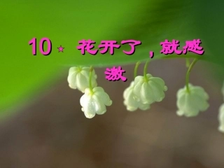 花开了就感激