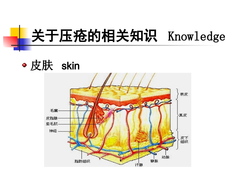 手术患者的压疮预防_第3页
