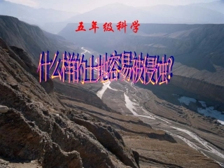 什么样的土地容易被侵蚀