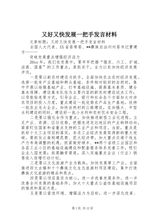 又好又快发展一把手发言材料
